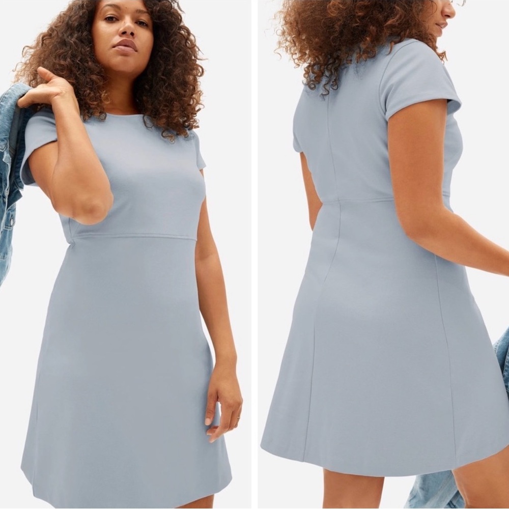 Everlane Dress